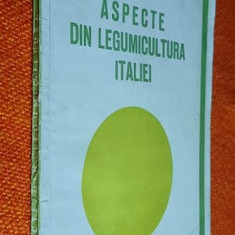 Aspecte din legumicultura Italiei - B. Manescu, Craciun