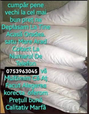 Dune si perine vechi l foto