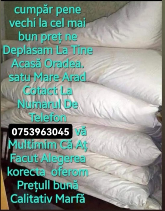 Dune si perine vechi l