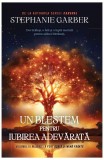 Cumpara ieftin Un blestem pentru iubirea adevărată (Vol. 3) - Paperback brosat - Stephanie Garber - RAO