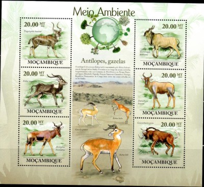 MOZAMBIC 2010, Fauna, serie neuzata, MNH foto