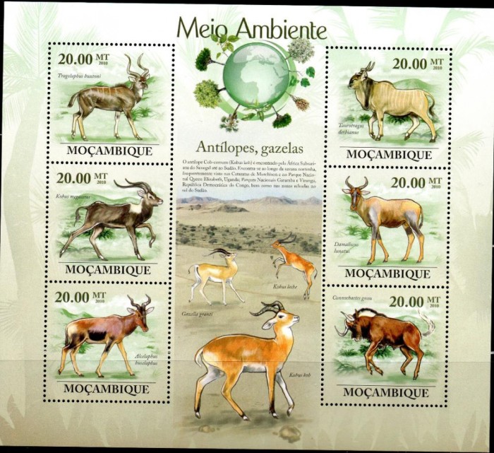 MOZAMBIC 2010, Fauna, serie neuzata, MNH