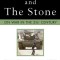 The Sling and the Stone: On War in the 21st Century