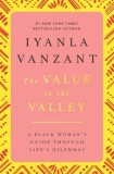 The Value in the Valley: A Black Woman&#039;s Guide Through Life&#039;s Dilemmas