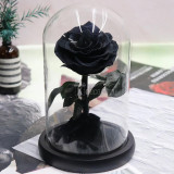 Trandafir Criogenat negru Bonita &Oslash;9,5cm in cupola 17x28cm