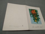 Cumpara ieftin CARTE POSTALA FELICITARE CIRCULATA