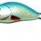 VOBLER SALMO HORNET 2CM S DB