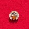 Insigna cu talpa - fotbal - Centre d&#039;Esports Sabadell Futbol Club (Spania)