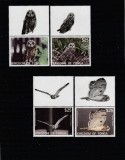 Tonga 2012 - Fauna , Pasari , Bufnite , serie 4 valori , cu vignete , dantelate , MNH , Mi.1793-1796 , cota 110, Nestampilat
