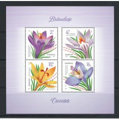 Romania 2022 - LP 2359a nestampilat - Flori: Branduse - bloc