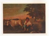 FA96 -Carte Postala- UCRAINA - Lviv Museum of Ukrainian art - Anonymous artist, Plougher at Rest, necirculata 1981