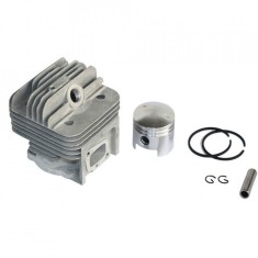 Set motor motocoasa Ruris Dac310 foto