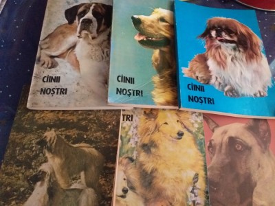 Cainii nostri, 6 volume foto