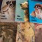 Cainii nostri, 6 volume