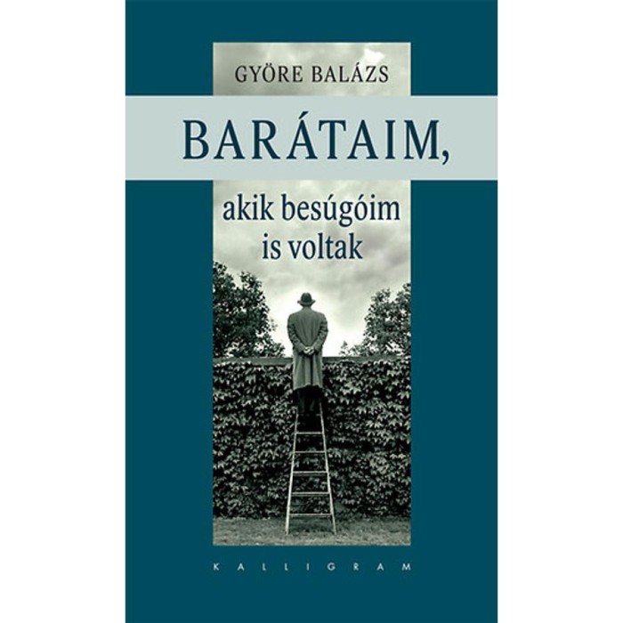 Bar&aacute;taim, akik bes&uacute;g&oacute;im is voltak - Gy&ouml;re Bal&aacute;zs