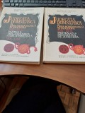 Valentin Al. Georgescu, Ovid Sachelarie, Petre Strihan - Judecata domnească &icirc;n Țara Rom&acirc;nească și Moldova. 1611 - 1831, partea I vol. I și partea II,