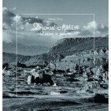 Drumul matasii. O istorie in imagini/Wang Qing