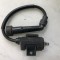 Bobina inductie Yamaha TT 600 S R Belgarda 4GV 4LW DJ01 5CH 1993-2003