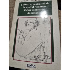 C Mereuta Culturi organizationale in spatiul romanesc Valori si profiluri dominante