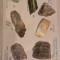 Lot de 7 minerale