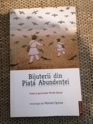 BIJUTERII DIN PIATA ABUNDENTEI - Poeti ai generatiei 90 din Banat foto