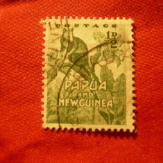 Timbru Papua Noua Guinee 1952 - Fauna Cangur , 1/2p ,stampilat