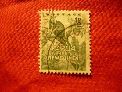 Timbru Papua Noua Guinee 1952 - Fauna Cangur , 1/2p ,stampilat foto