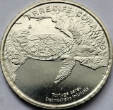 50 Colones 2023 Costa Rica, Hawksbill turtle, km#new