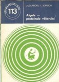 Cumpara ieftin Algele, proteinele viitorului - Alexandru Ionescu