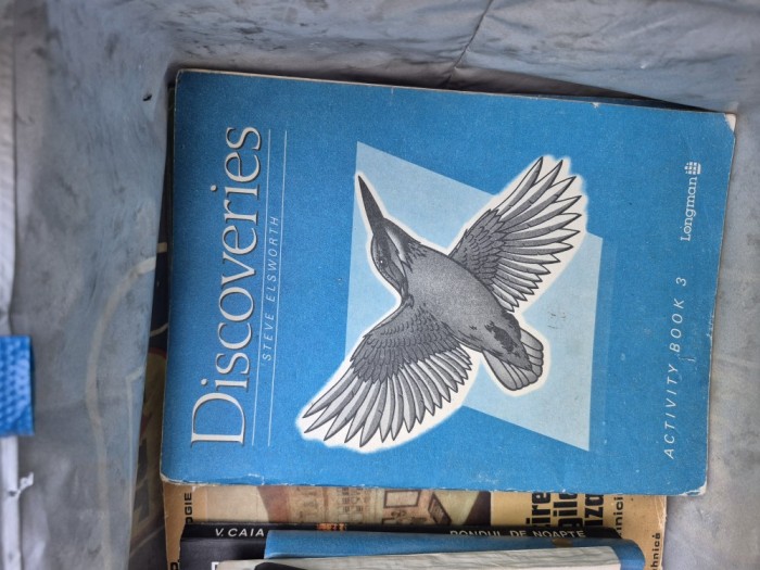 Discoveries activity 3 vintage