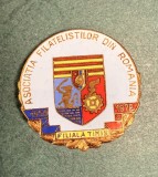 Insigna Asociatia Filatelistilor din Romania Filiala Timis