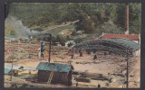 Carte Postala Romania - Nehoiu Buzau - Fabrica de Cherestea in refacere dupa incendiu