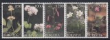 Rusia - Buriatia - FLORI DIVERSE - CTO, Stampilat
