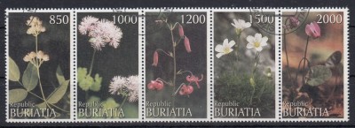 Rusia - Buriatia - FLORI DIVERSE - CTO foto