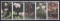 Foto  - 1