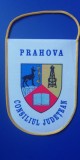 D9 25 - fanion - heraldica - stema Judetului Prahova