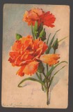 CPIB 20822 FELICITARE - FLORI, GAROAFE, EDITURA UYACHROM, NECIRCULATA