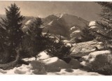 CPIB 22699 - CARTE POSTALA - MUNTII RODNEI. VEDERE SPRE PIETROSUL