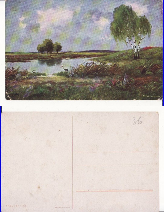 Ilustrata animale -barza