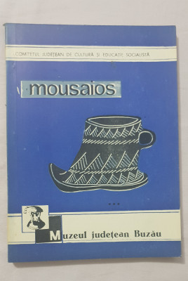 MOUSAIOS - Muzeul Județean Buzău foto