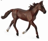 Armasar Standardbred Pacer Castaniu, Collecta