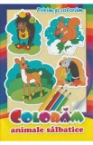 Coloram animale salbatice. Privim si coloram, Autor Anonim
