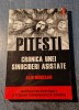 Pitesti cronica unei sinucideri asistate Alin Muresan