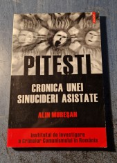 Pitesti cronica unei sinucideri asistate Alin Muresan