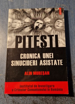 Pitesti cronica unei sinucideri asistate Alin Muresan foto