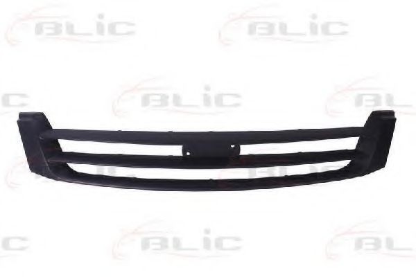 Grila radiator IVECO DAILY IV bus (2006 - 2011) BLIC 6502-07-3081991P