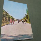 Cumpara ieftin CARTE POSTALA CIRCULATA CALAFAT-SPRE FALEZA