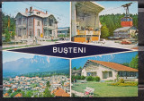 CPIB 17610 CARTE POSTALA - BUSTENI. MOZAIC, Circulata, Fotografie