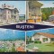 CPIB 17610 CARTE POSTALA - BUSTENI. MOZAIC