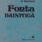 Fonta bainitica